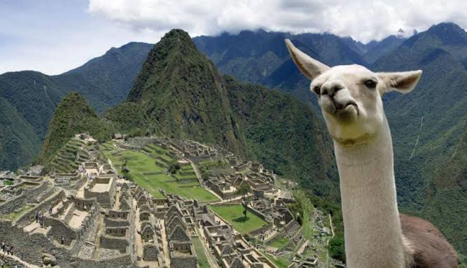 Limay Perú - Portal de Noticias de Lima Norte