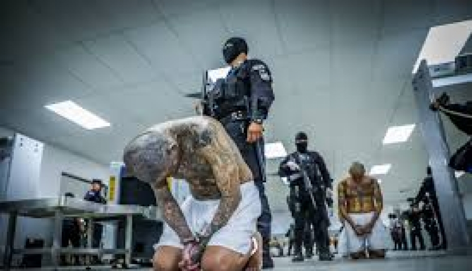 Limay Perú - Portal de Noticias de Lima Norte