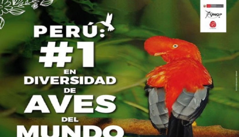 Limay Perú - Portal de Noticias de Lima Norte