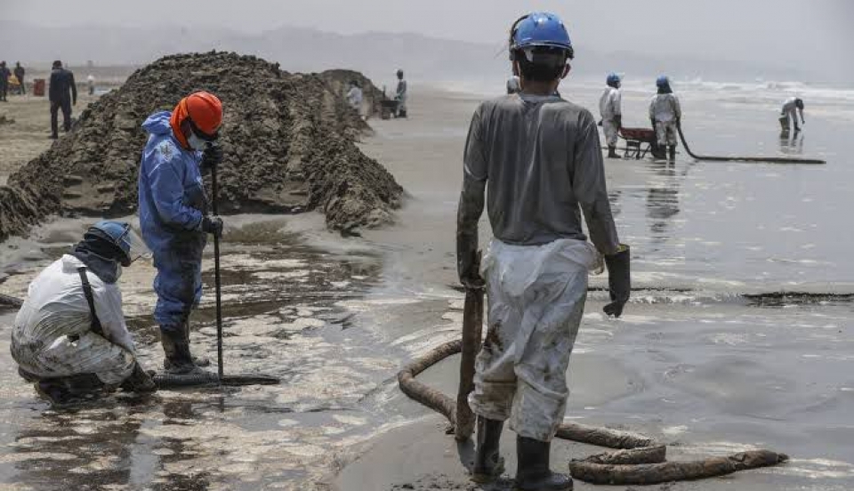 Limay Perú - Portal de Noticias de Lima Norte
