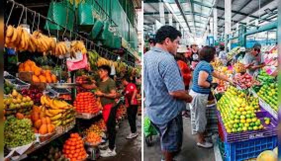 Limay Perú - Portal de Noticias de Lima Norte