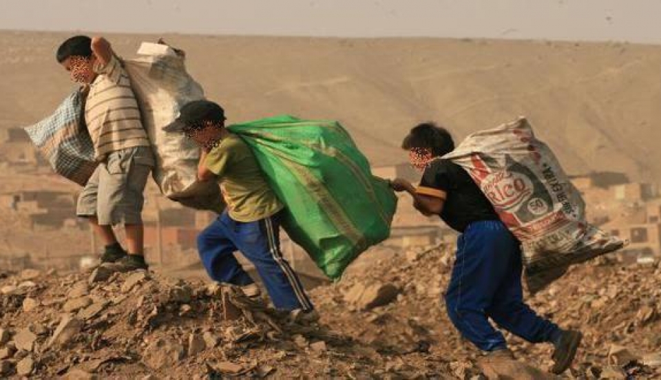 Limay Perú - Portal de Noticias de Lima Norte