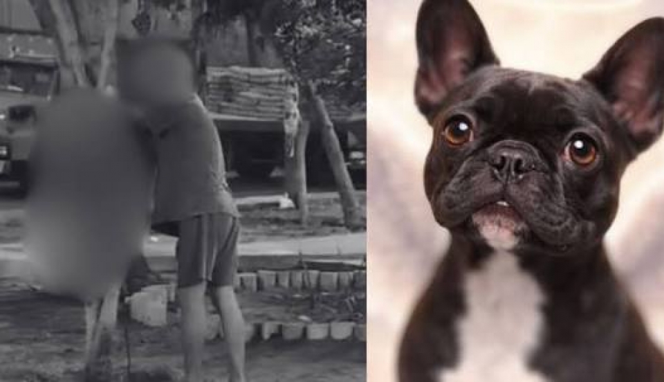 Limay Perú - Portal de Noticias de Lima Norte