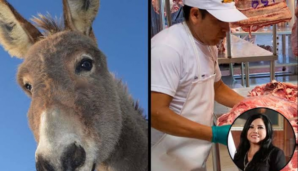 Limay Perú - Portal de Noticias de Lima Norte