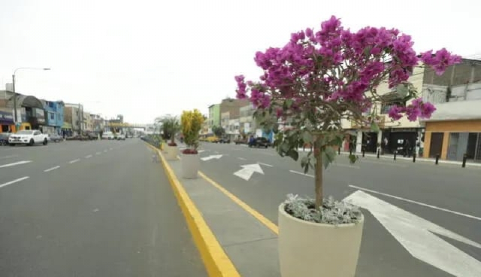 Limay Perú - Portal de Noticias de Lima Norte