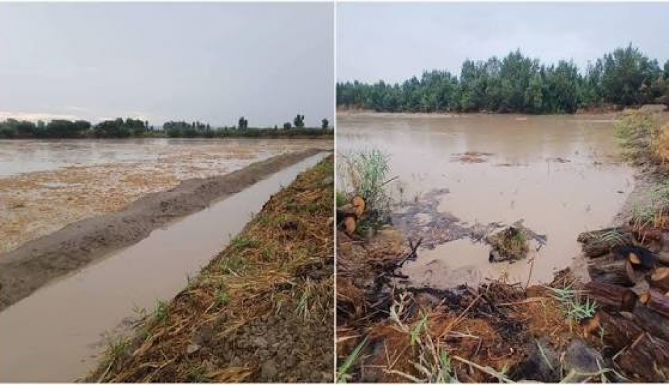 Limay Perú - Portal de Noticias de Lima Norte