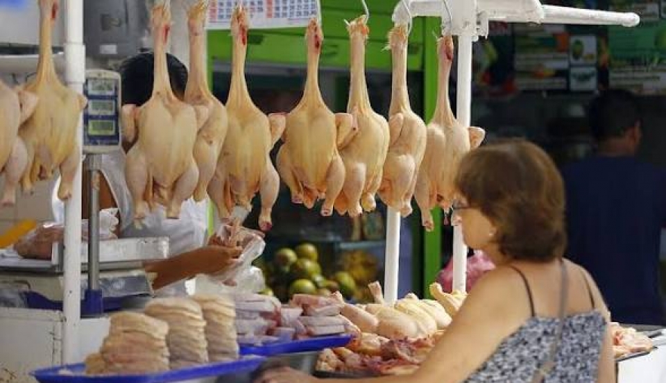 Limay Perú - Portal de Noticias de Lima Norte