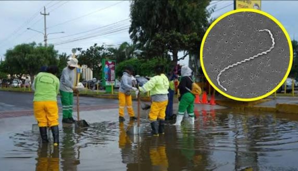 Limay Perú - Portal de Noticias de Lima Norte