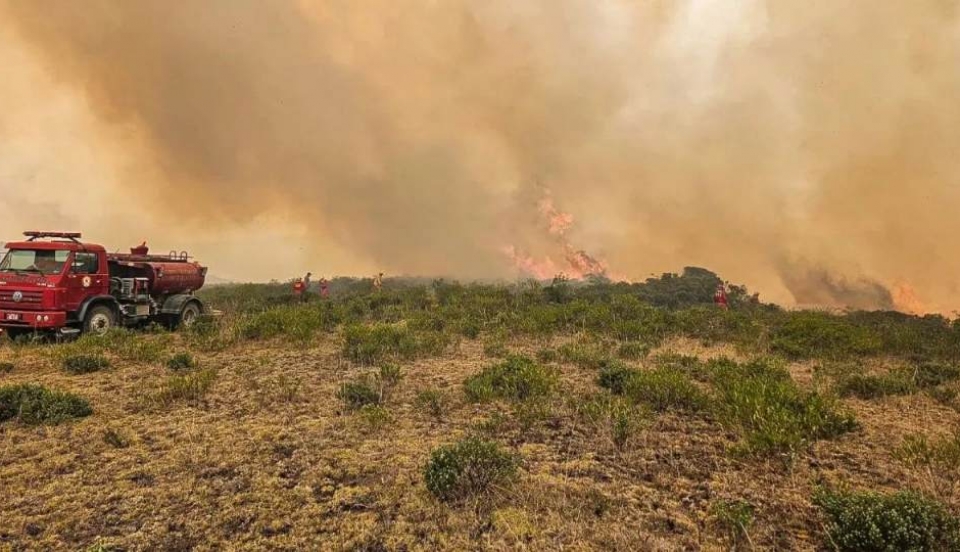 Limay Perú - Portal de Noticias de Lima Norte