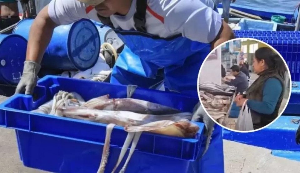 Limay Perú - Portal de Noticias de Lima Norte