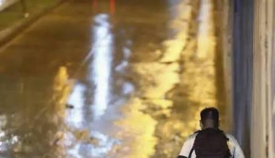 Limay Perú - Portal de Noticias de Lima Norte