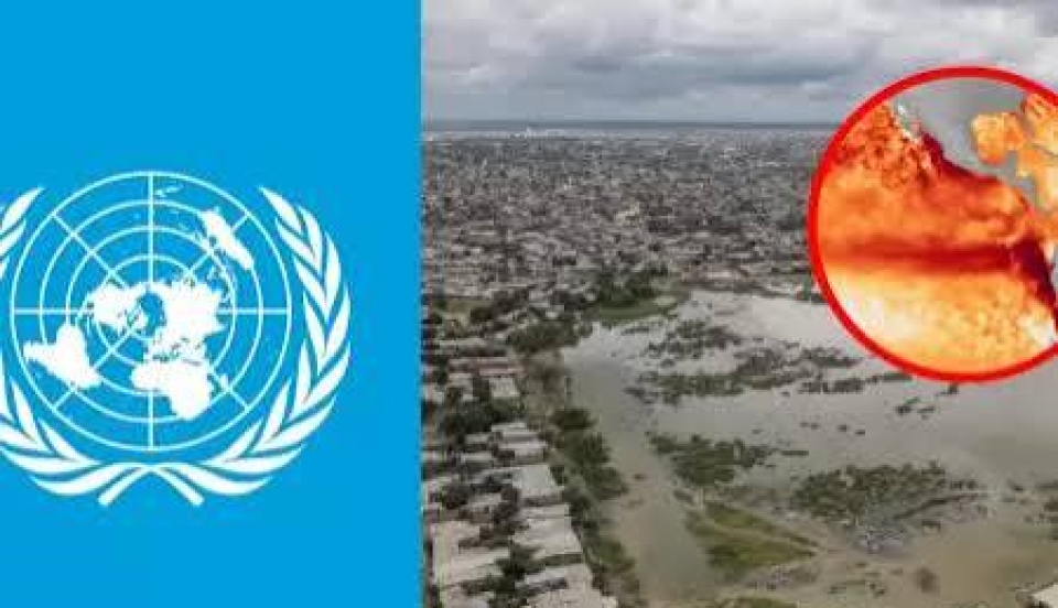 Limay Perú - Portal de Noticias de Lima Norte