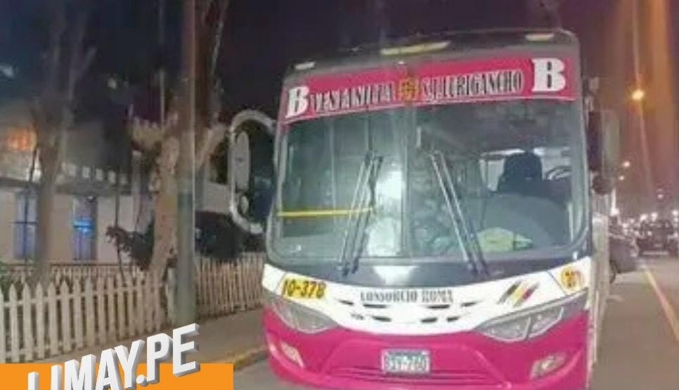 Limay Perú - Portal de Noticias de Lima Norte