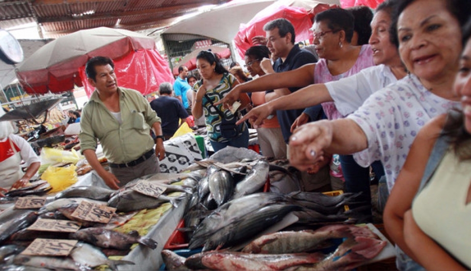 Limay Perú - Portal de Noticias de Lima Norte