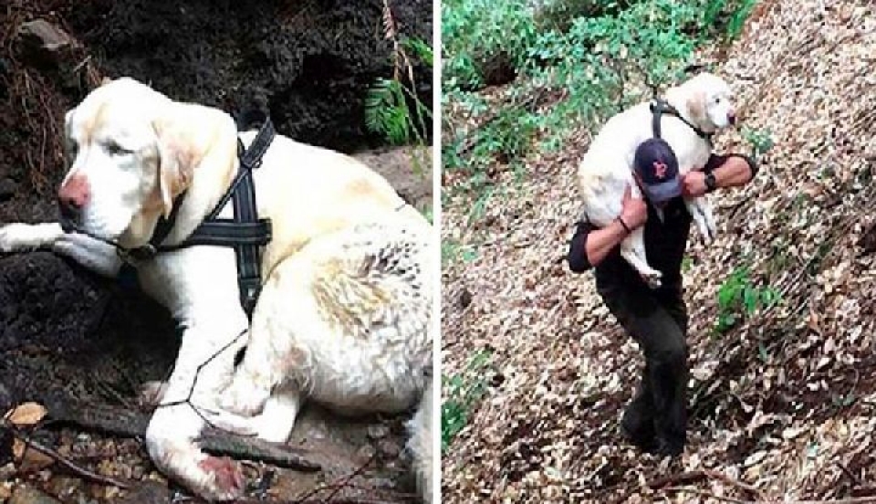 Limay Perú - Portal de Noticias de Lima Norte