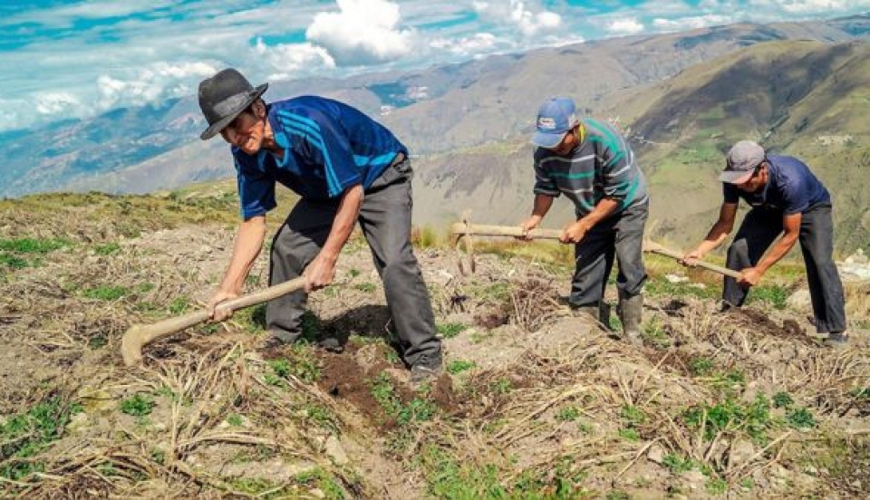 Limay Perú - Portal de Noticias de Lima Norte