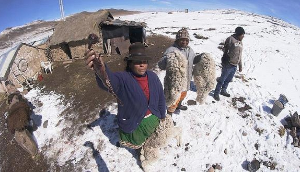 Limay Perú - Portal de Noticias de Lima Norte