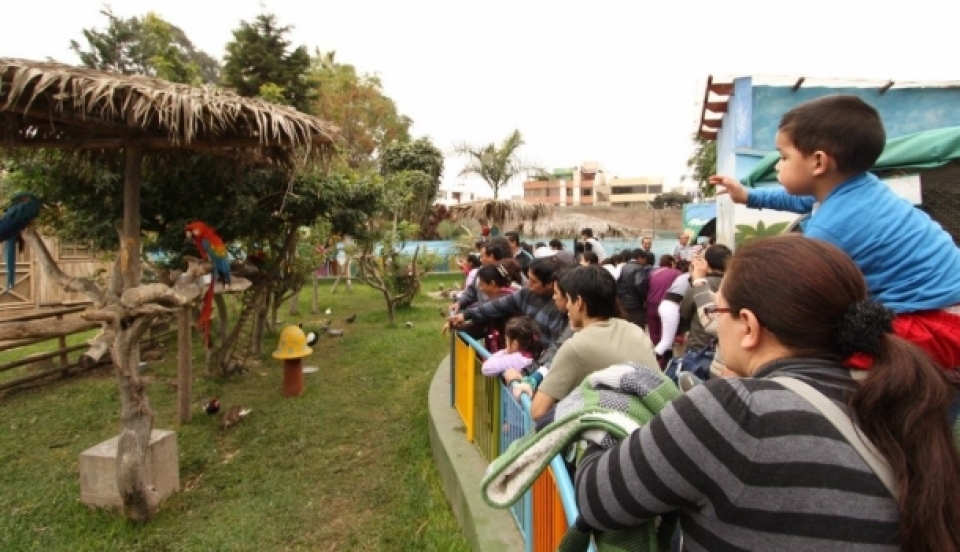 Limay Perú - Portal de Noticias de Lima Norte