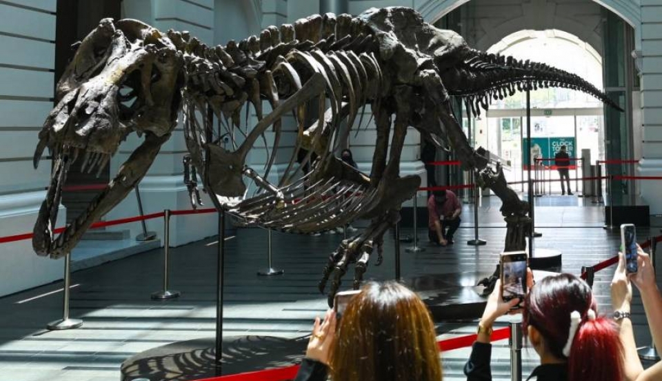 Limay Perú - Portal de Noticias de Lima Norte