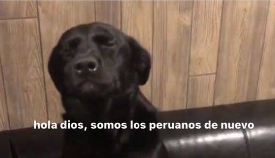 Limay Perú - Portal de Noticias de Lima Norte