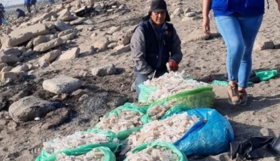 Limay Perú - Portal de Noticias de Lima Norte