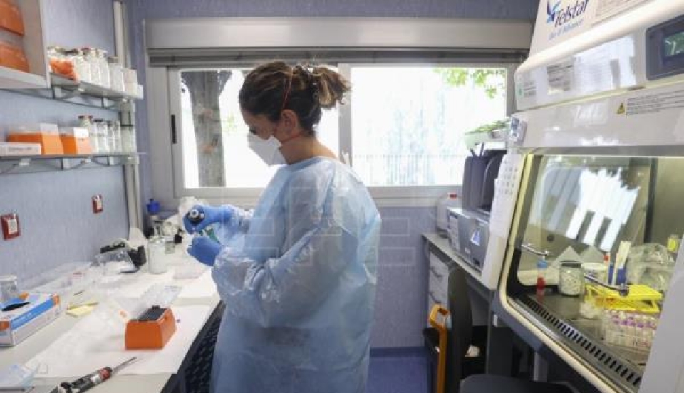 Limay Perú - Portal de Noticias de Lima Norte