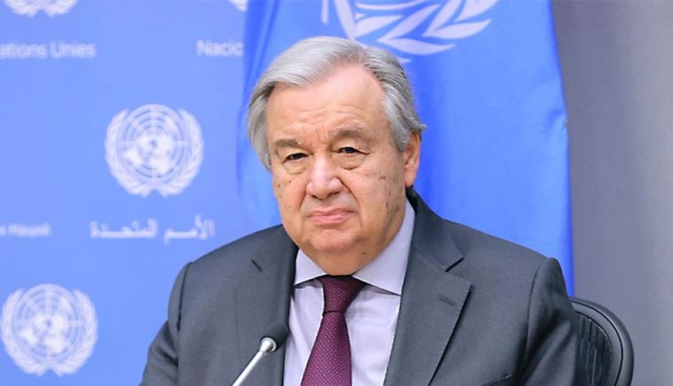 Limay Perú - Portal de Noticias de Lima Norte