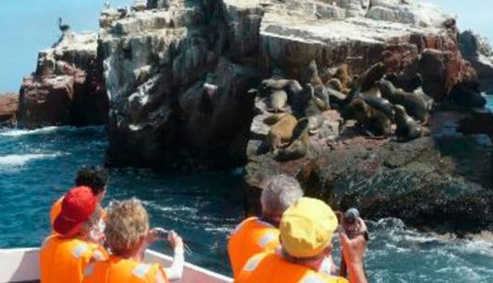 Limay Perú - Portal de Noticias de Lima Norte