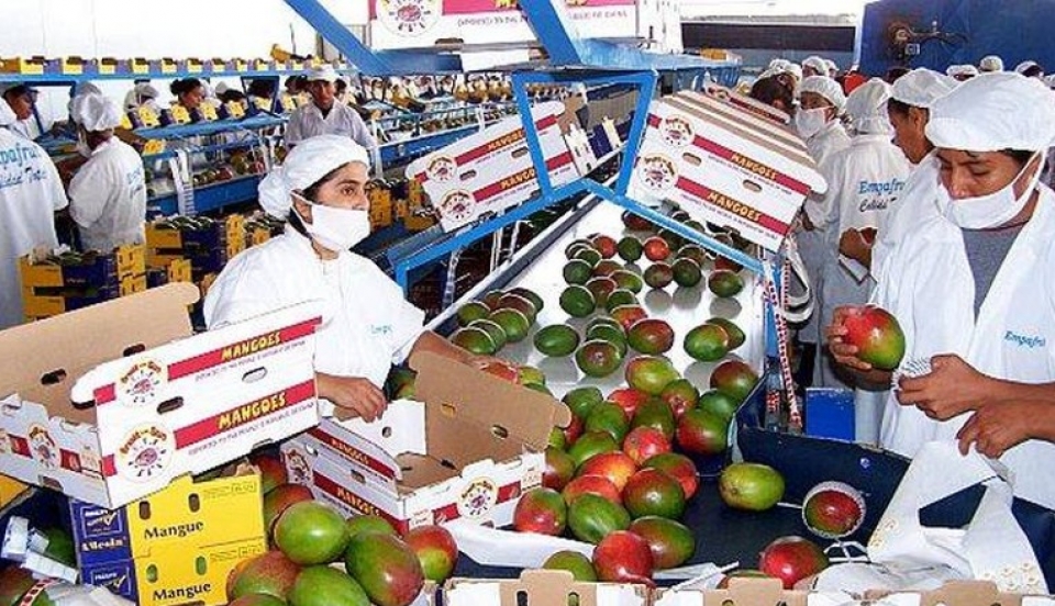 Limay Perú - Portal de Noticias de Lima Norte