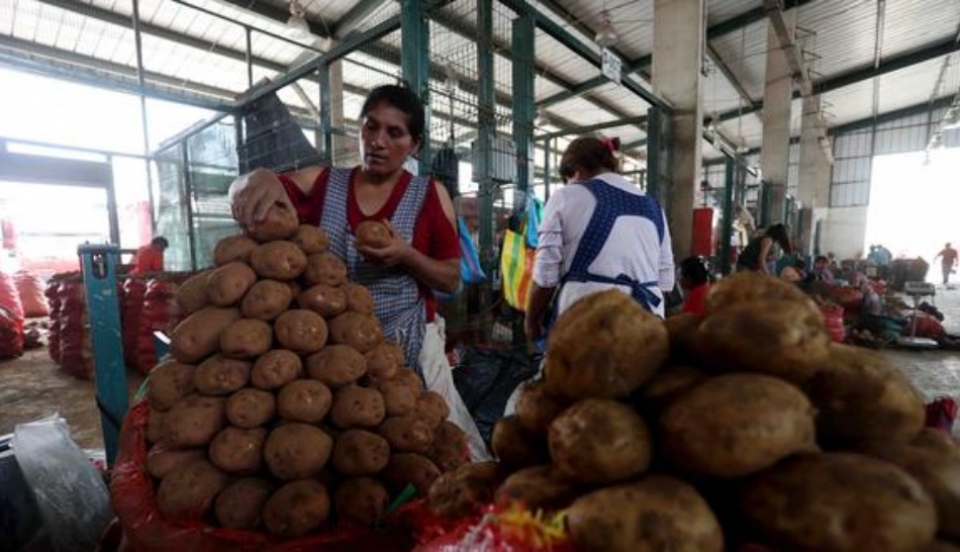 Limay Perú - Portal de Noticias de Lima Norte