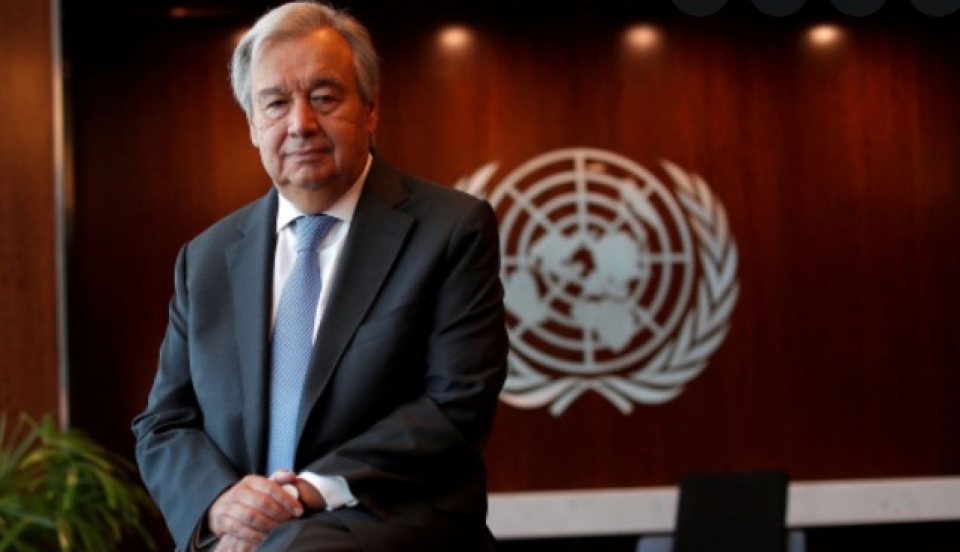 Limay Perú - Portal de Noticias de Lima Norte