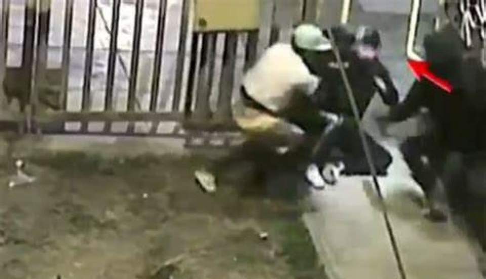 Limay Perú - Portal de Noticias de Lima Norte