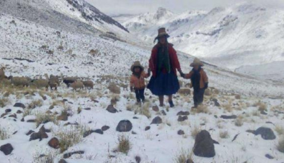 Limay Perú - Portal de Noticias de Lima Norte