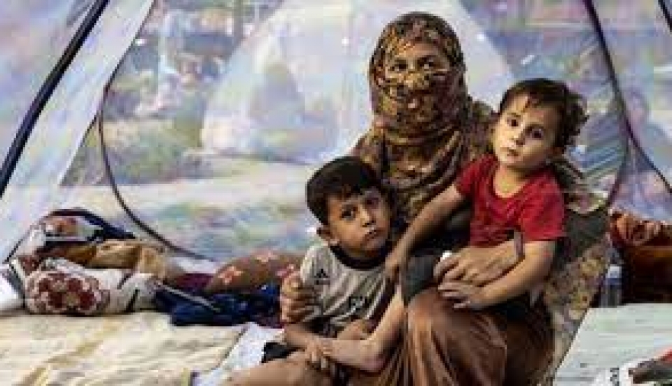 Limay Perú - Portal de Noticias de Lima Norte