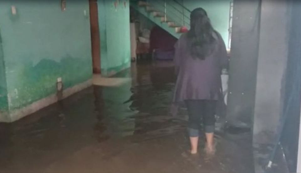 Limay Perú - Portal de Noticias de Lima Norte