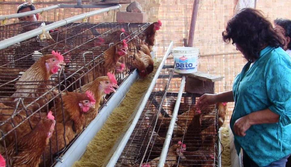 Limay Perú - Portal de Noticias de Lima Norte