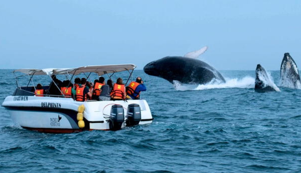 Limay Perú - Portal de Noticias de Lima Norte Limay Perú - Portal de Noticias de Lima Norte