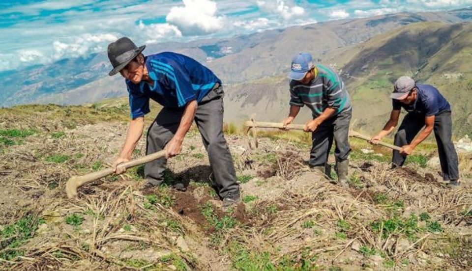 Limay Perú - Portal de Noticias de Lima Norte