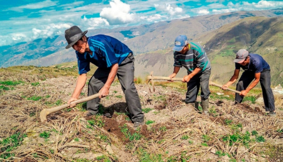 Limay Perú - Portal de Noticias de Lima Norte