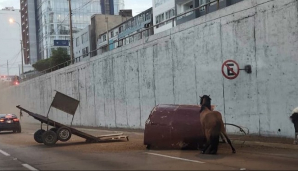 Limay Perú - Portal de Noticias de Lima Norte