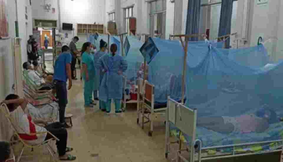 Limay Perú - Portal de Noticias de Lima Norte