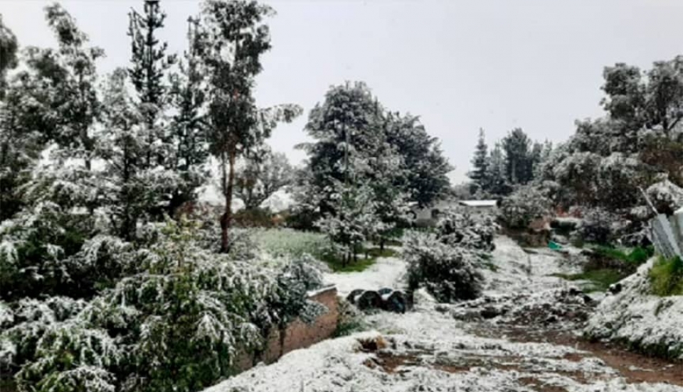 Limay Perú - Portal de Noticias de Lima Norte