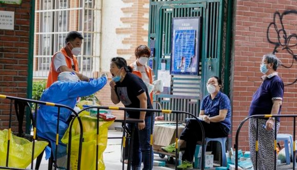 Limay Perú - Portal de Noticias de Lima Norte Limay Perú - Portal de Noticias de Lima Norte