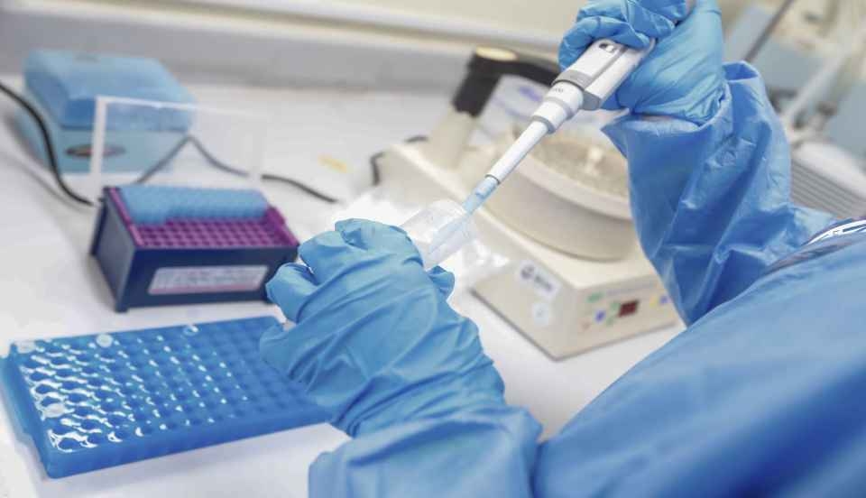 Limay Perú - Portal de Noticias de Lima Norte