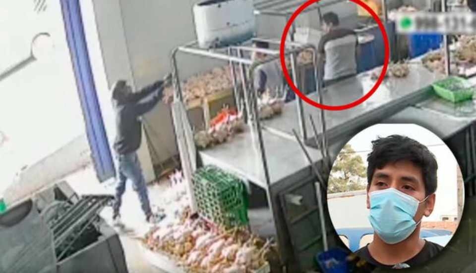 Limay Perú - Portal de Noticias de Lima Norte