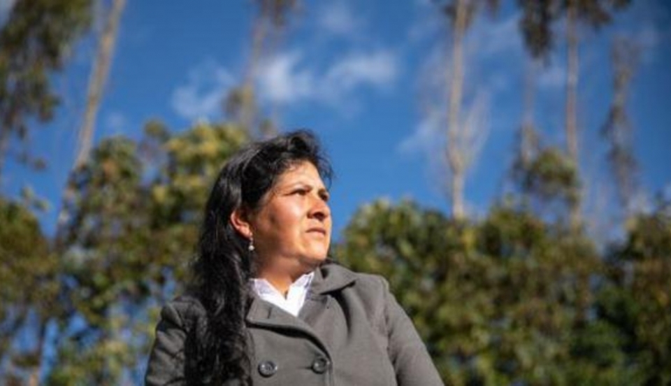 Limay Perú - Portal de Noticias de Lima Norte