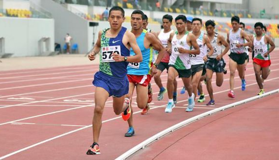 Limay Perú - Portal de Noticias de Lima Norte