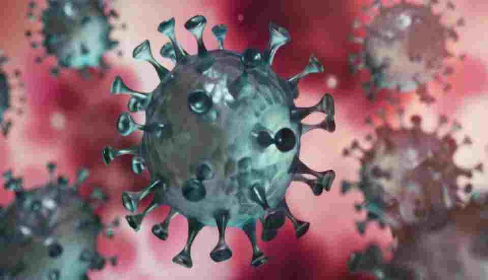 Limay Perú - Portal de Noticias de Lima Norte