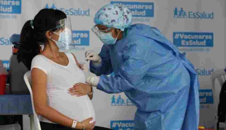 Limay Perú - Portal de Noticias de Lima Norte Limay Perú - Portal de Noticias de Lima Norte