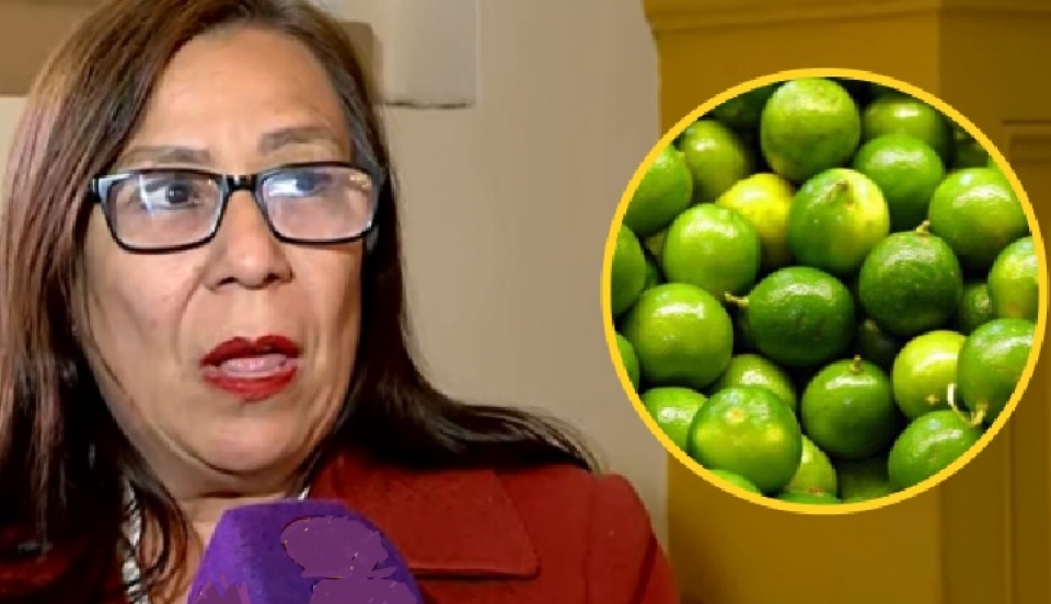Limay Perú - Portal de Noticias de Lima Norte